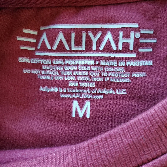 💚5/$25 Aaliyah In Memory of Aaliyah Pull Over Sweatshirt Size Medium - Picture 3 of 3